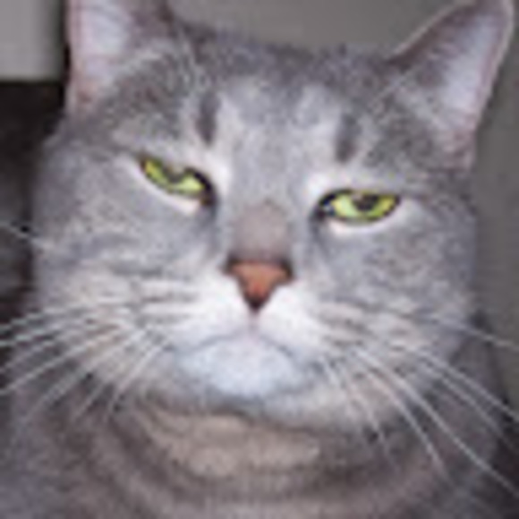 fritz2katts
